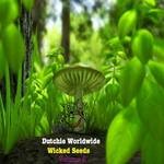 cover: Various - Wicked Seeds Volume @