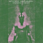 cover: Stereo Assassin - Dreaming In Black