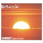 cover: Fatboy Slim - Sunset (Bird Of Prey)