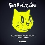 cover: Fatboy Slim - Right Here Right Now (Coyu Remix)