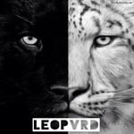 cover: Leopvrd - Leopvrd