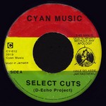 cover: D Echo Project - Select Cuts