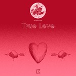 cover: Nick Lynar - True Love