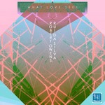 cover: Rui Da Silva - What Love Sees EP