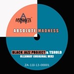 cover: Black Jazz Project|Tsholo - Oleaway