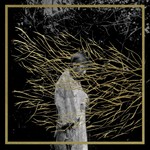 cover: Forest Swords - Engravings