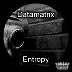 cover: Datamatrix - Entropy