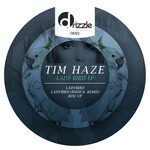 cover: Tim Haze - Ladybird EP