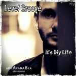 cover: Level Groove - It's My Life