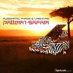 cover: Audiomatic|Phaxe|Vaishiyas - Pattern Safari