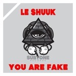 cover: Le Shuuk - You Are Fake