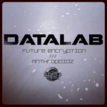 cover: Datalab - Future Encryption/Anthropoidz