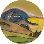 cover: Metope - Black Beauty Remixes