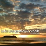 cover: Various - Latin Lounge Groove Moods Vol Dos