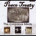 cover: Conscious Minds - Peace Treaty