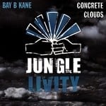 cover: Bay B Kane - Concrete Clouds