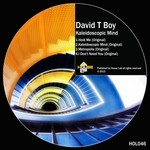 cover: David T Boy - Kaleidoscopic Mind