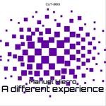 cover: Manuel Hierro - A Different Experience