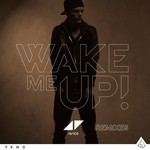 cover: Avicii - Wake Me Up (Remixes)