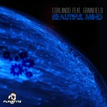 cover: Grainfield|T Orlando - Beautiful Mind