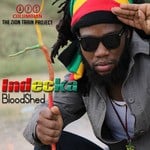 cover: Indecka - Bloodshed