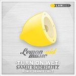 cover: Samu Rodriguez - Turn On Wet