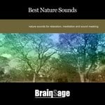 cover: Brainsage - Best Nature Sounds