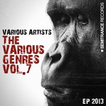 cover: Amen B|Dj Lofstrand|Kayzar T|Lukas Apolen|Peet Beck|Pete Soul|Tim Rocktek|Trunk - The Various Genres Vol 7 EP 2013