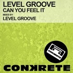 cover: Level Groove - Can You Feel It