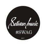 cover: Selivan Dj - Swag