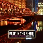 cover: Various - Deep In The Night Vol 5 A Jazz House Experience