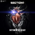 cover: Section 1 - Rhythm Of My Heart