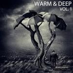 cover: Audiofunk|El Funkador|Roy Gilles|Sodda|Tausend - Warm & Deep Vol 1