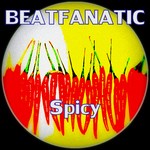 cover: Beatfanatic - Timebomb