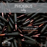 cover: Phoebus - Why