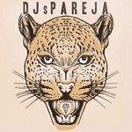 cover: Djs Pareja - Steps