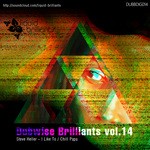 cover: Steve Heller - Dubwise Brilliants Vol 14