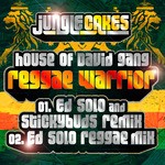 cover: House Of David Gang - Reggae Warrior