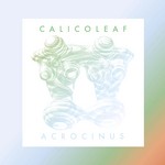 cover: Calicoleaf - Acrocinus