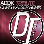 cover: Addk - Tribute (Chris Kaeser Remix)