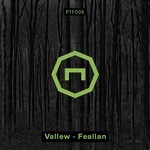 cover: Vallew - Feallan/Diaphanous