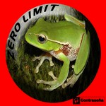 cover: Zero Limit - Verificacion