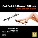 cover: Damian Dcosta|Selini, Coll - See You Later