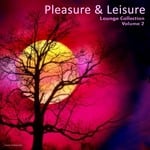 cover: Various - Pleasure & Leisure Lounge Collection Vol 2