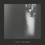 cover: Turtle - Who Knows EP