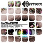 cover: Matthias Seibert - Loosing My Feeling