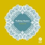 cover: Walking Shadow - Be There EP