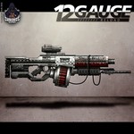 cover: 12gauge - Reload