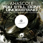 cover: Anascole - You Still Don't Understand