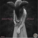 cover: Junior Pappa - Wasted